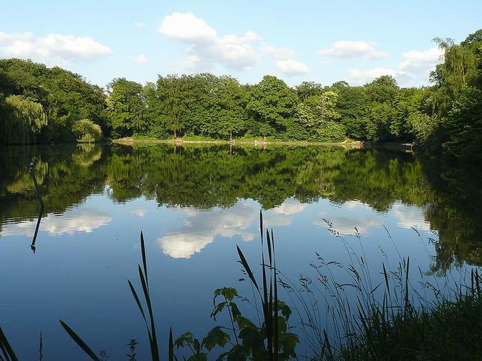 Forêt domaniale de Meudon-étang de Villebon